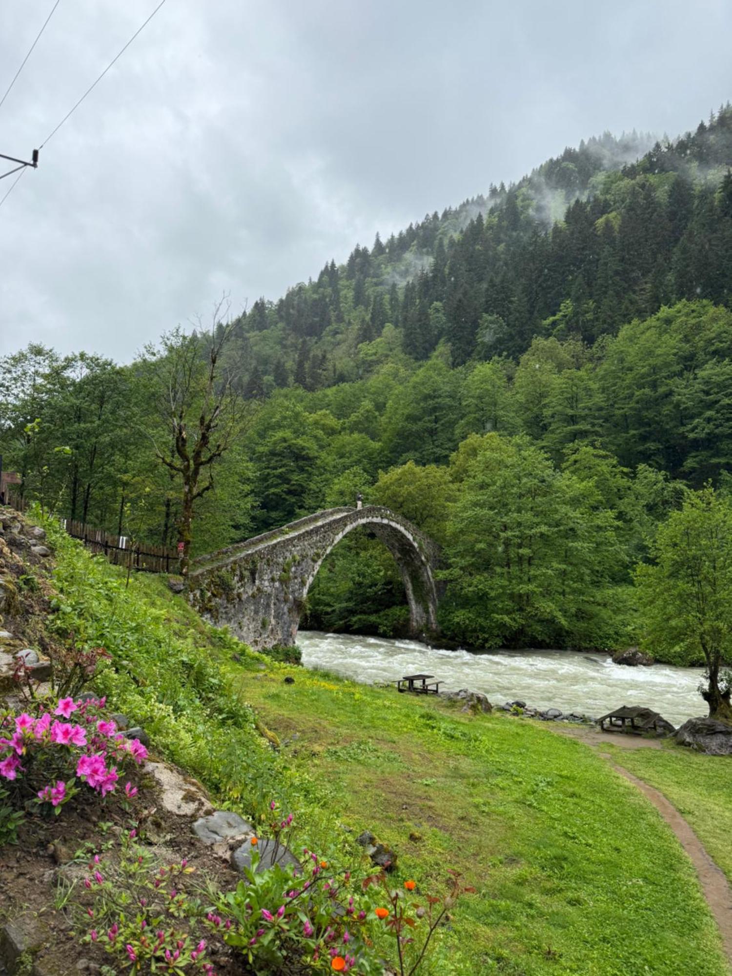 Berona Dag Evleri Çamlıhemşin Buitenkant foto
